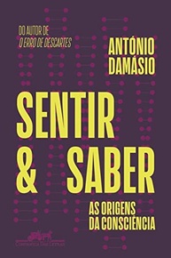 Sentir e Saber: Desvende os Mistérios da Consciência Humana - imagem 2