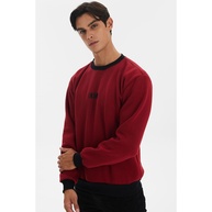 Moletom Masculino Polo Wear: Conforto e Estilo - imagem 1