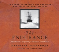 The Endurance: A Odisseia Heroica de Shackleton na Antártida - imagem 1