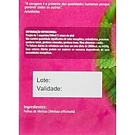 Chá Real Melissa: Relaxamento Natural 8g - imagem 1