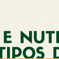 Adubo Bokashi Premium para Morango: Frutificação e Nutrição Natural - imagem 2