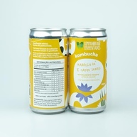 Kombucha de maracujá com capim santo; gaseificação natural/lata 269 ml - imagem 1