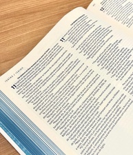 Bíblia Sagrada Holy Bible: Bilíngue Português-Inglês (NBV-NIV) com Espaço para Anotações - imagem 5
