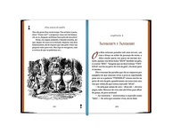 Alice No País das Maravilhas & Através do Espelho: Edição de Luxo Ilustrada - imagem 5