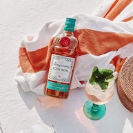 Gin Tanqueray Bossa Nova 700ml - imagem 4