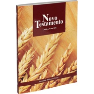 Novo Testamento NTLH Letra Grande: Leitura Confortável e Clara - imagem 1
