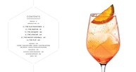 Cocktail Codex: O Guia Essencial para Dominar a Arte dos Drinks - imagem 3