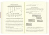 O Ciclo de Vida Corporativo: Guia Essencial de Gestão e Investimentos - imagem 5