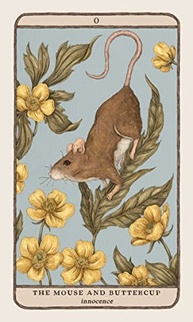 Oráculo Woodland Wardens: 52 Cartas e Guia Ilustrado da Nova York Times Bestselling Illustrator - imagem 4