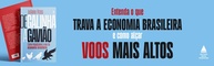 De Galinha a Gavião: Desvende os Segredos da Economia Brasileira - imagem 5