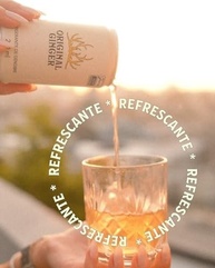 Original Ginger Refrigerante de Gengibre, Pack com 6 Latas, 220ml, Bebida Refrescante - imagem 3