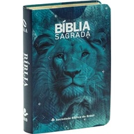 Bíblia Sagrada NAA Edição de Bolso: Nova Almeida Atualizada para Levar a Palavra Sempre com Você - imagem 2