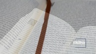 Dia a Dia com Spurgeon: Devocional Manhã e Noite para Fortalecer sua Fé - imagem 3