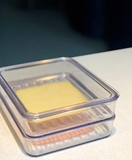 Porta Frios Empilhável Cinquetti - Pote Transparente com Tampa para Presunto e Queijo - imagem 5