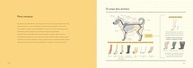 Descubra Como Desenhar Animais: Guia Completo para Iniciantes - imagem 4