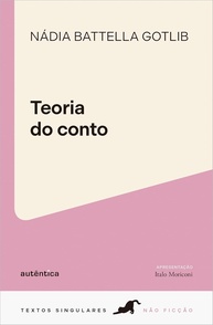 Teoria do Conto: Guia Essencial para Entender a Narrativa Curta - imagem 1