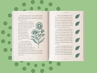 Fitoenergética - Edição Comemorativa 15 Anos: A Energia das Plantas para o Equilíbrio da Alma - imagem 5