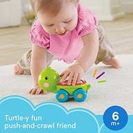 Fisher-Price Animais Bolinhas Divertidas: O Brinquedo Perfeito para Bebês a Partir de 6 Meses - imagem 5