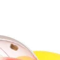 Pato Divertido: Alimentador Interativo PetJoy - imagem 1