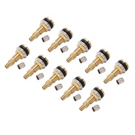 Kit 10 Válvulas TR618A de Bronze para Pneus Sem Câmara - Ideal para Tratores e Equipamentos Pesados - imagem 1