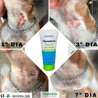 Fiproderm Lavizoo: Hidratação Profunda para Pets - imagem 2