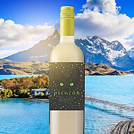 Picarón Sauvignon Blanc: Frescor Chileno 750ml - imagem 4