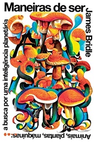 Maneiras de Ser: Descubra a Inteligência Planetária com James Bridle - imagem 2