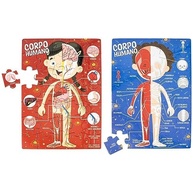 Todolivro Play QC 4A: Explore o Incrível Corpo Humano com Seu Filho! - imagem 5