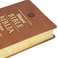 Bíblia Bilíngue Português (NAA) - Inglês (ESV): Estude e Compare as Escrituras - imagem 3