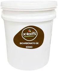 Bicarbonato De Sódio 1kg Pote Abre e Fecha - X Roots - imagem 1