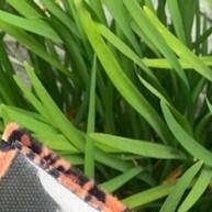Porta Cartão Feminino Animal Print – Elegância e Praticidade - imagem 2