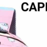 Mochila Capivara: Estilo e Praticidade! - imagem 2