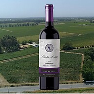 Carmenere Chileno Santa Loreto 750ml: Sabor Premium - imagem 3