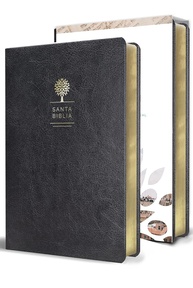 Bíblia Reina Valera 1960 Letra Grande - Tamanho Manual em Símil Pele Preta - imagem 1
