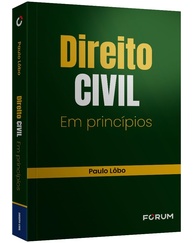 Direito Civil em Princípios: Fundamentos Essenciais para Estudantes e Profissionais - imagem 3