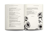 O Fim em Doses Homeopáticas: Poesia Cruel e Reflexiva sobre Relacionamentos - imagem 5