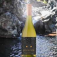Picarón Chardonnay: Vinho Chileno Refrescante 750ml - imagem 3