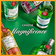 Gin Tanqueray Sevilla: Cítrico e Refrescante 700ml - imagem 4