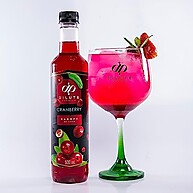Xarope Cranberry Dilute 500ml: Sabor Intenso e Refrescante - imagem 2