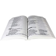 Bíblia Sagrada Letra Grande NAA - Capa Preta: Leitura Clara e Confortável - imagem 5