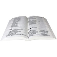 Bíblia Sagrada Letra Grande NAA - Capa Preta: Leitura Clara e Confortável - imagem 4