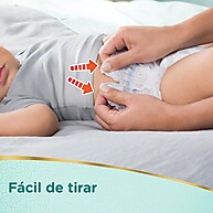 Pampers Pants M: 156 Fraldas para Noites Secas! - imagem 2