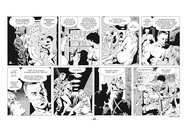 Cannon (Volume Único): A HQ Lendária de Wallace Wood Sem Censura - imagem 4