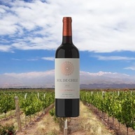 Vinho Tinto Suave Chileno Sol de Chile Cabernet Sauvignon 750ml - imagem 3
