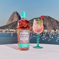 Gin Tanqueray Bossa Nova 700ml - imagem 3