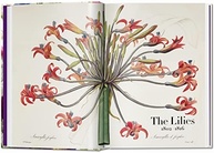 Redouté: O Livro das Flores - Edição 40 Anos TASCHEN - imagem 3