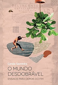 O Mundo Desdobrável: Ensaios Literários para Tempos Incertos (Coleção Nosotras) - imagem 2