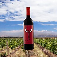El Torito Tempranillo: Vinho Espanhol 750ml - imagem 3