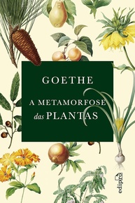 A Metamorfose das Plantas: A Teoria Revolucionária de Goethe - imagem 1