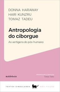 Teoria do Conto: Desvende a Arte da Narrativa Curta com Nádia Battella Gotlib - imagem 2